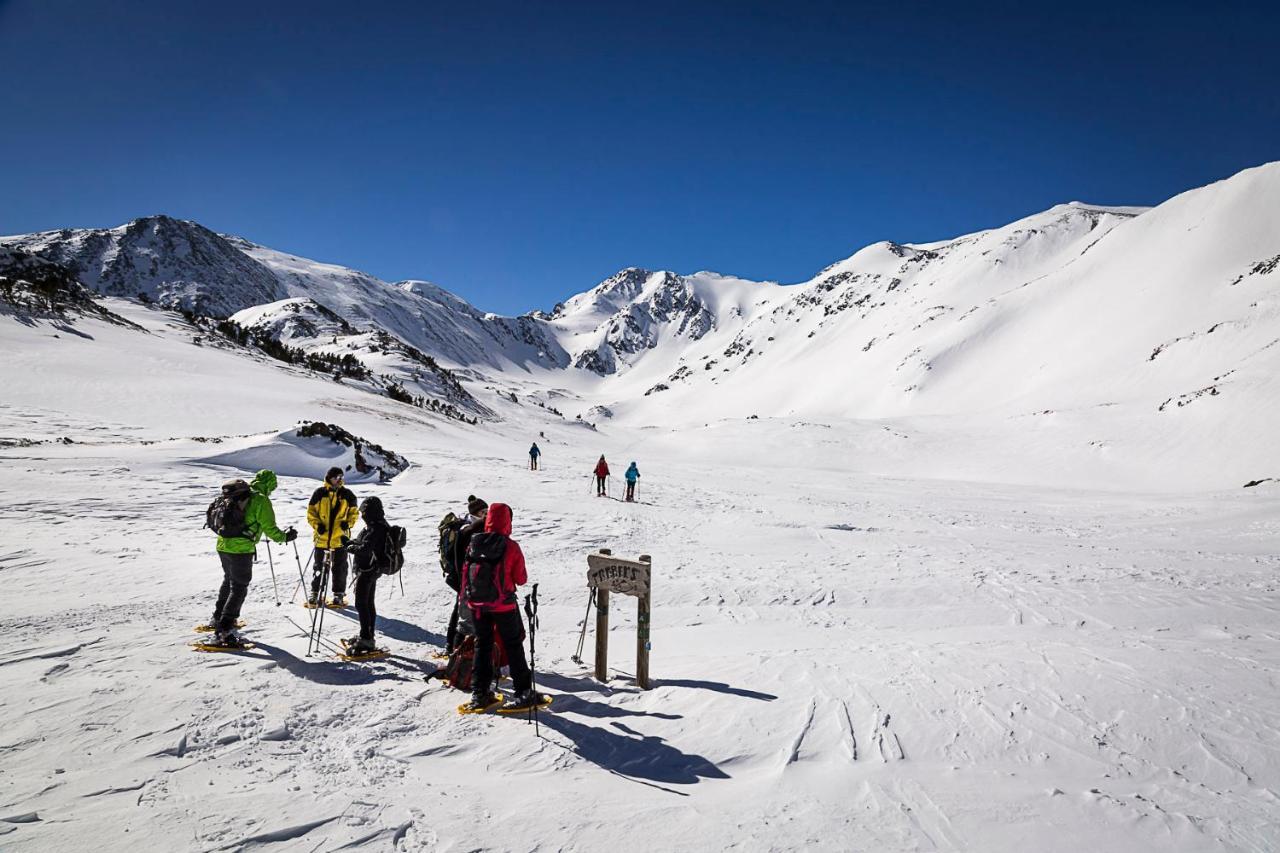 Le Chalet Du Ticou Bolquere Pyrenees 2000 Екстериор снимка
