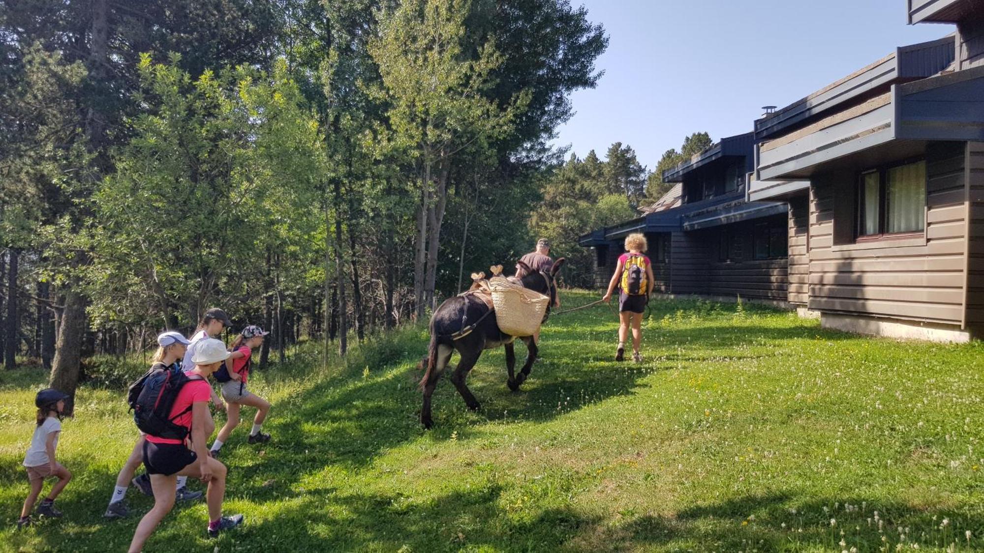 Le Chalet Du Ticou Bolquere Pyrenees 2000 Екстериор снимка